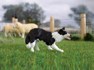 HLT-WMA14 HLT Farm Border Collie Lucy