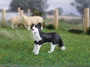 HLT-WMA16 HLT Farm Border Collie Molly